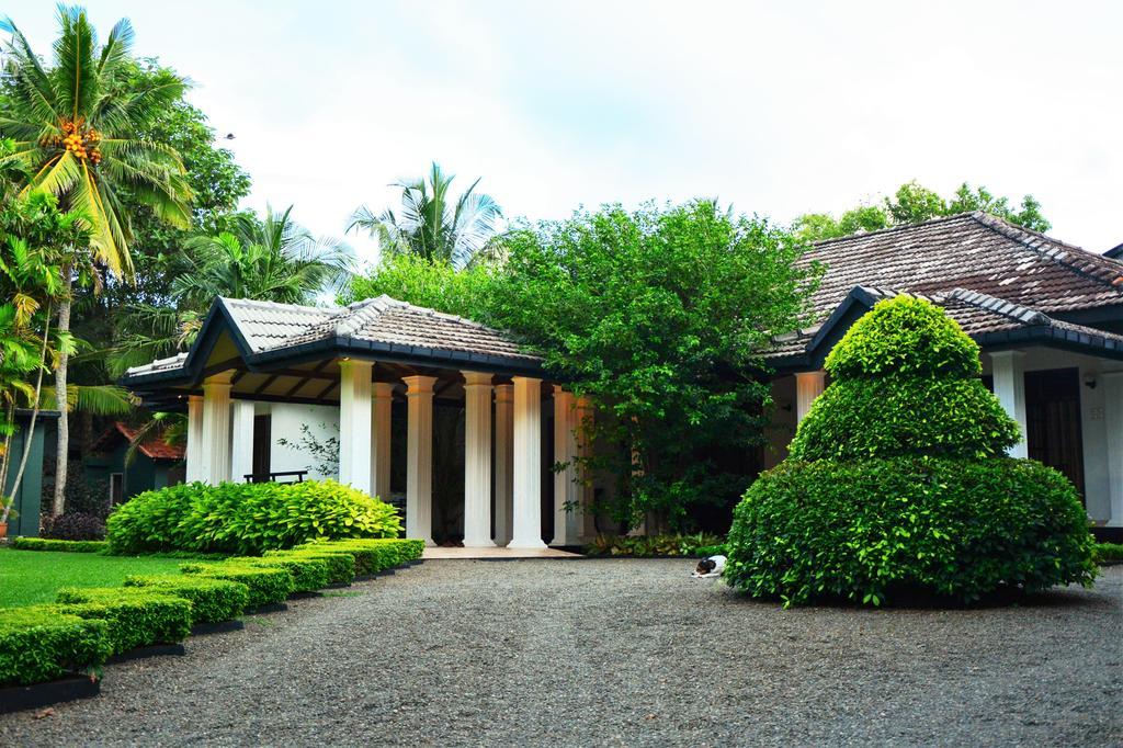 Camellia Dwelling Bed & Breakfast Hikkaduwa Luaran gambar