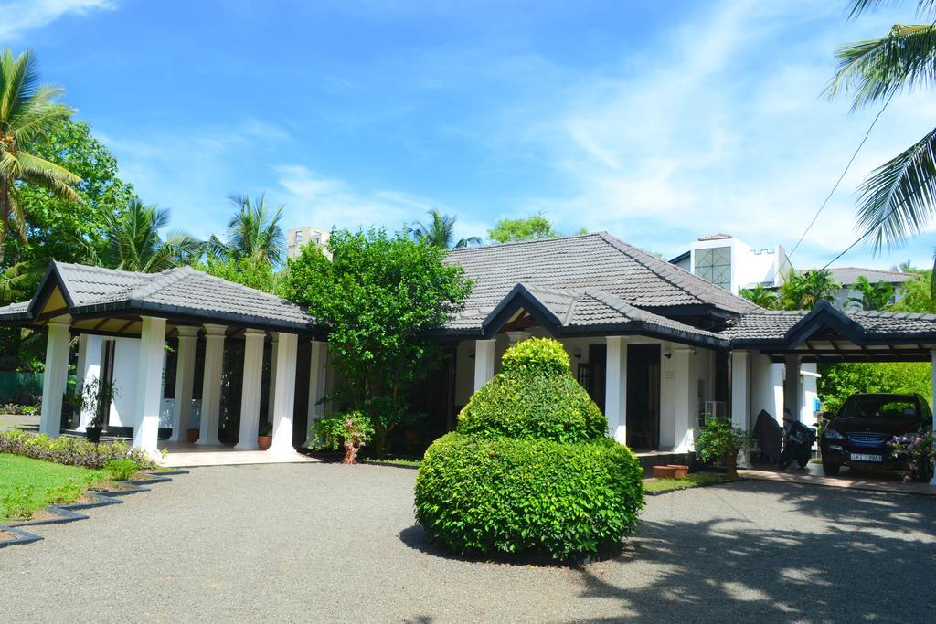 Camellia Dwelling Bed & Breakfast Hikkaduwa Luaran gambar