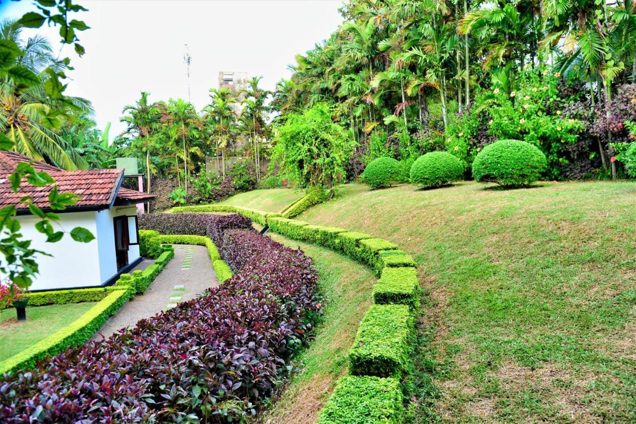 Camellia Dwelling Bed & Breakfast Hikkaduwa Luaran gambar