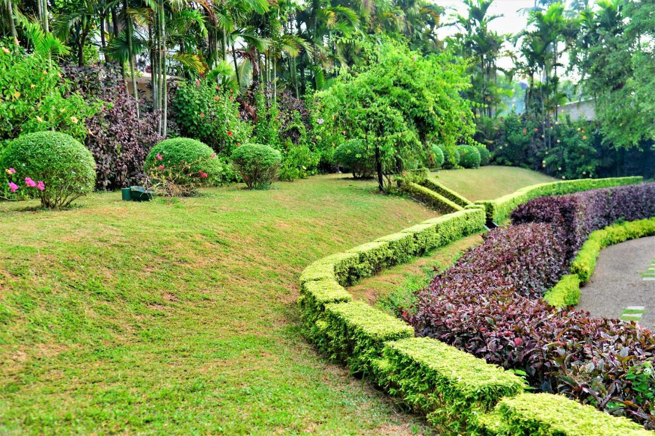 Camellia Dwelling Bed & Breakfast Hikkaduwa Luaran gambar